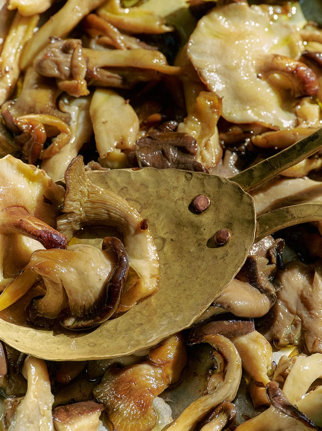 Organic Artisanal Mushroom Box - Image 5