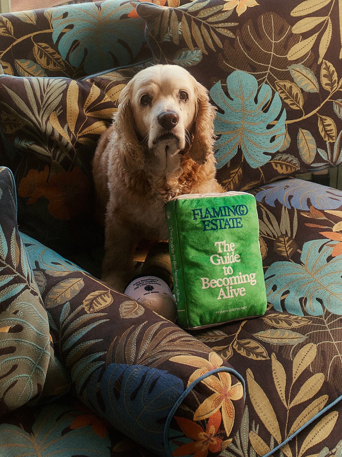 The Guide To Becoming Alive Dog Toy - Image 2