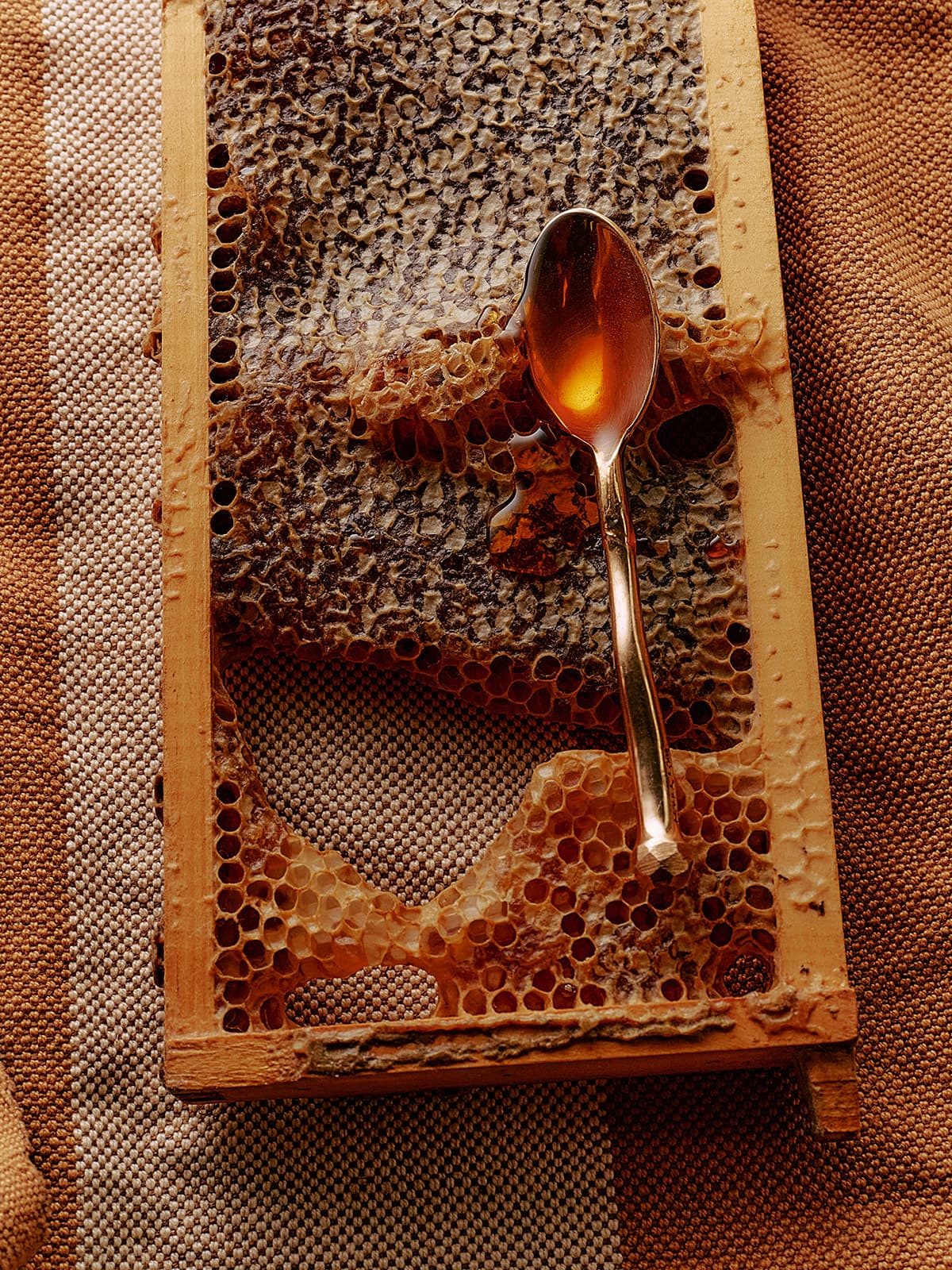 California Native Mountain Wildflower Honey - Image 5