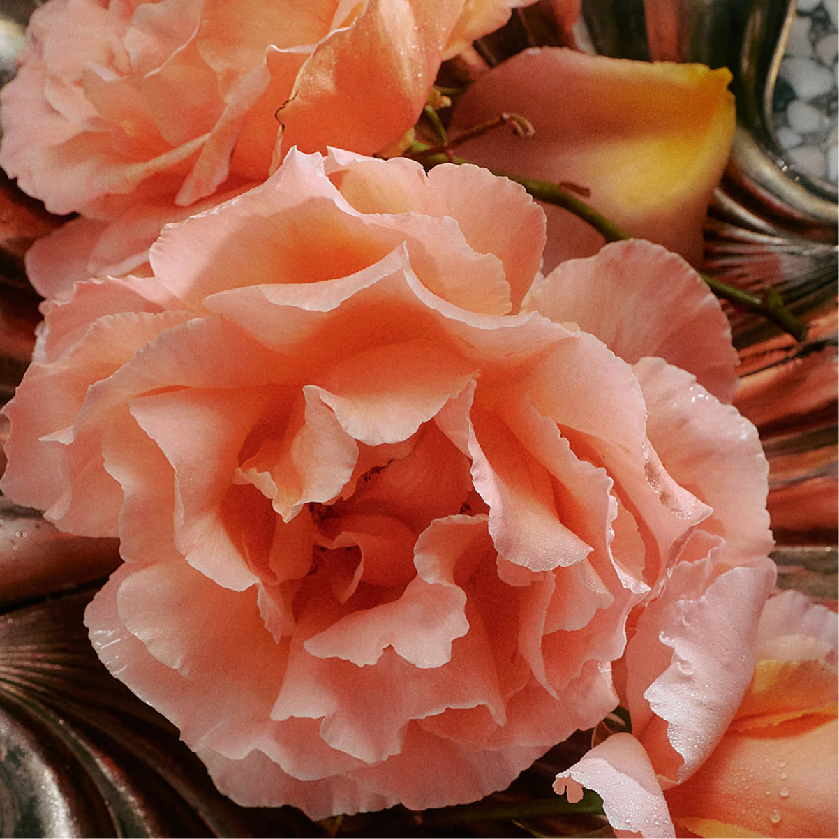 Jasmine Damask Rose Hand Soap - Image 5
