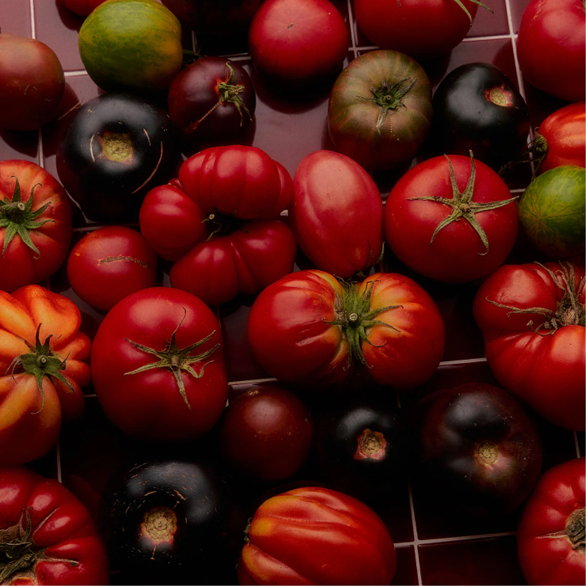 Personalized Heirloom Tomato XL Candle - Image 9