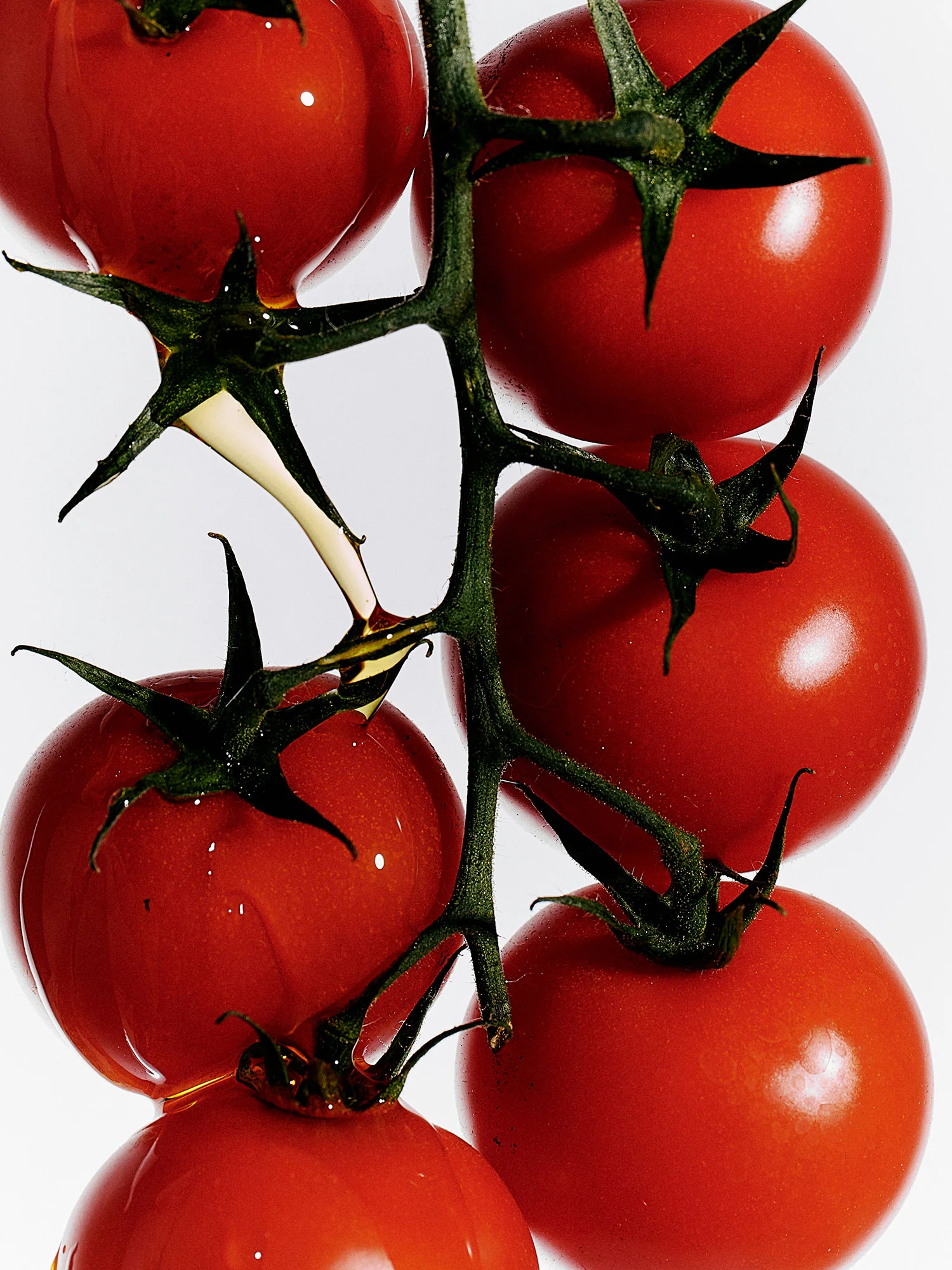 Heirloom Tomato Dish Soap - Image 4