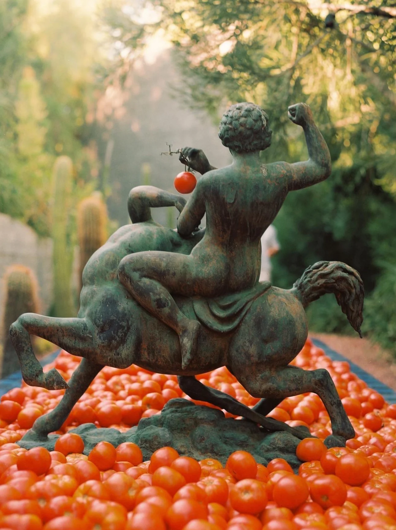 Roma Heirloom Tomato Fragrance Oil - Image 6