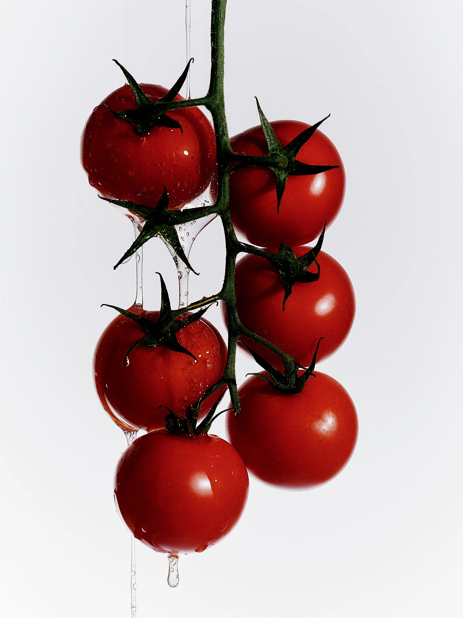 Heirloom Tomato Surface Spray - Image 4
