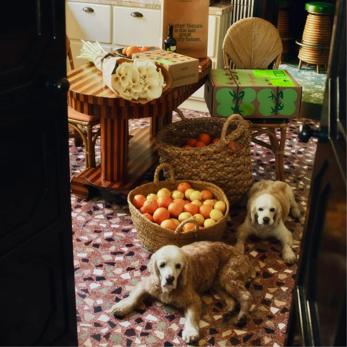 Secret Garden Box - Image 12