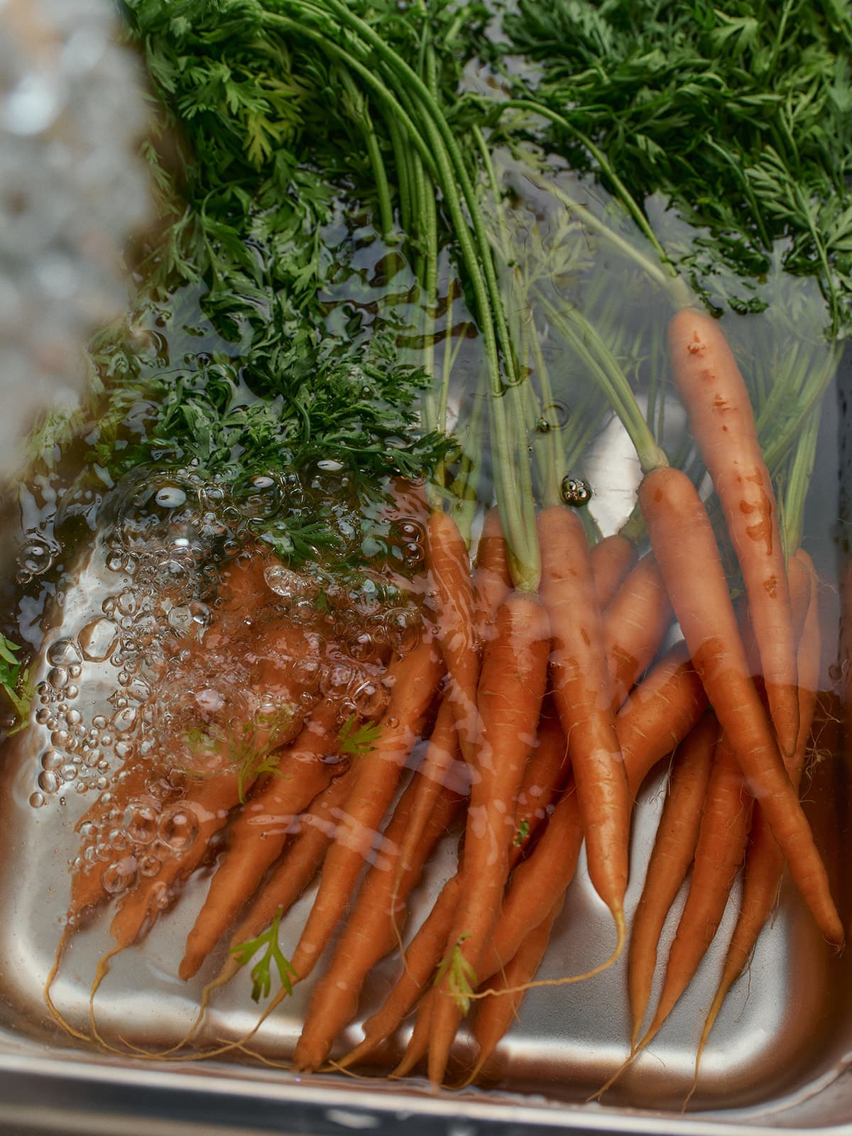 The Regenerative Farm Box - Image 15