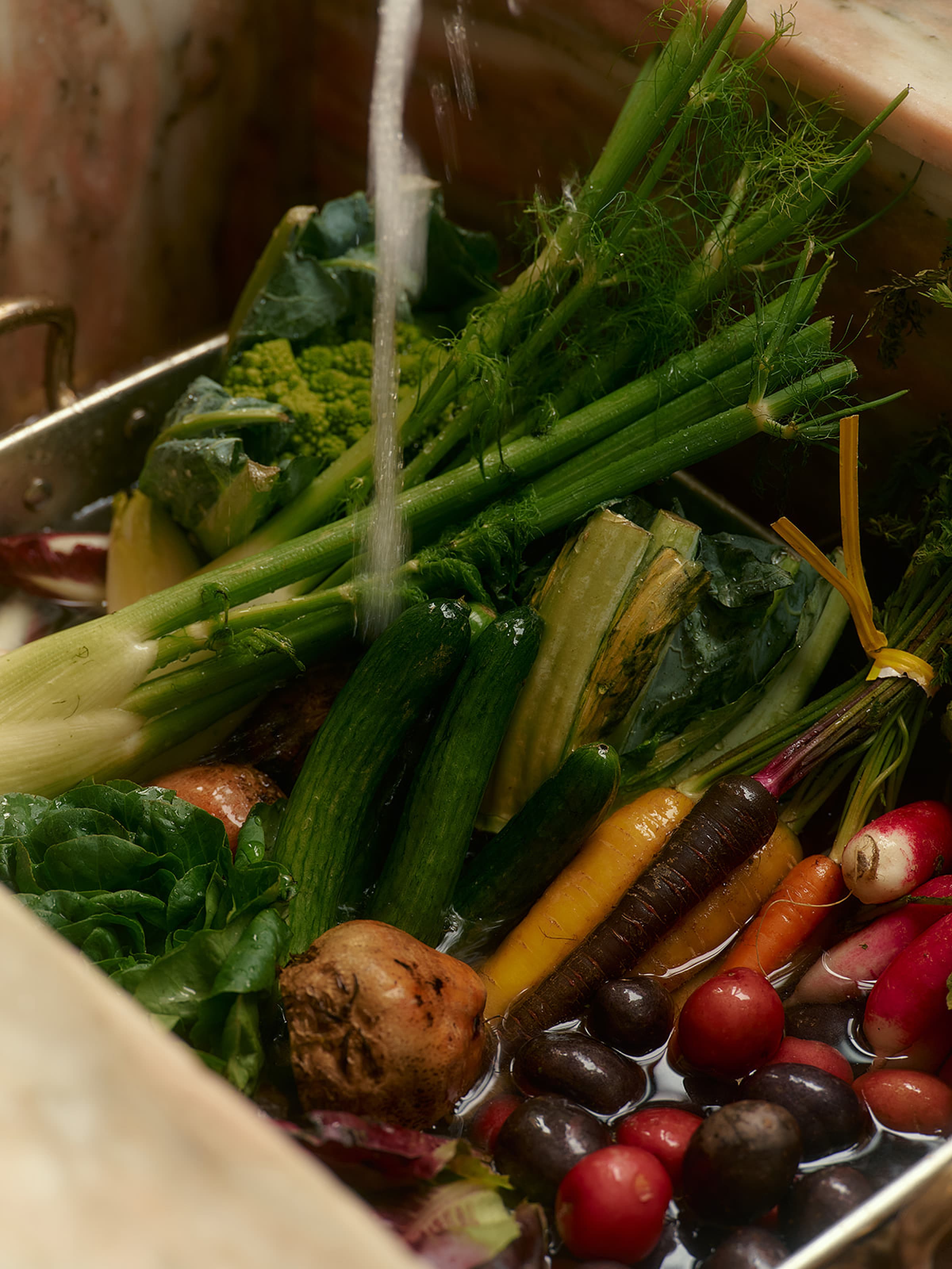 The Regenerative Farm Box - Image 4