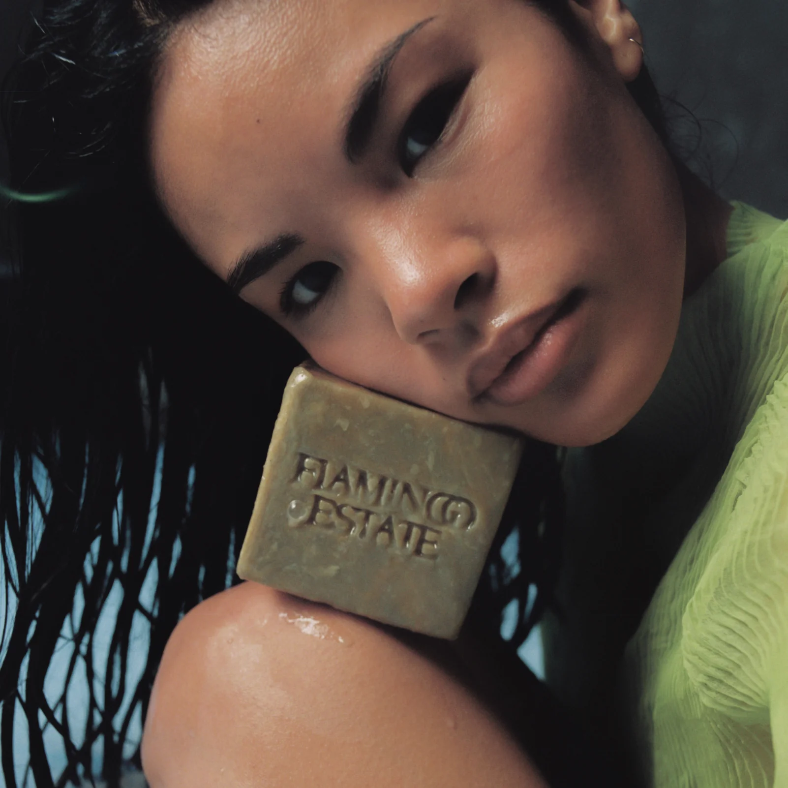 Green Goddess Soap Brick - Image 5