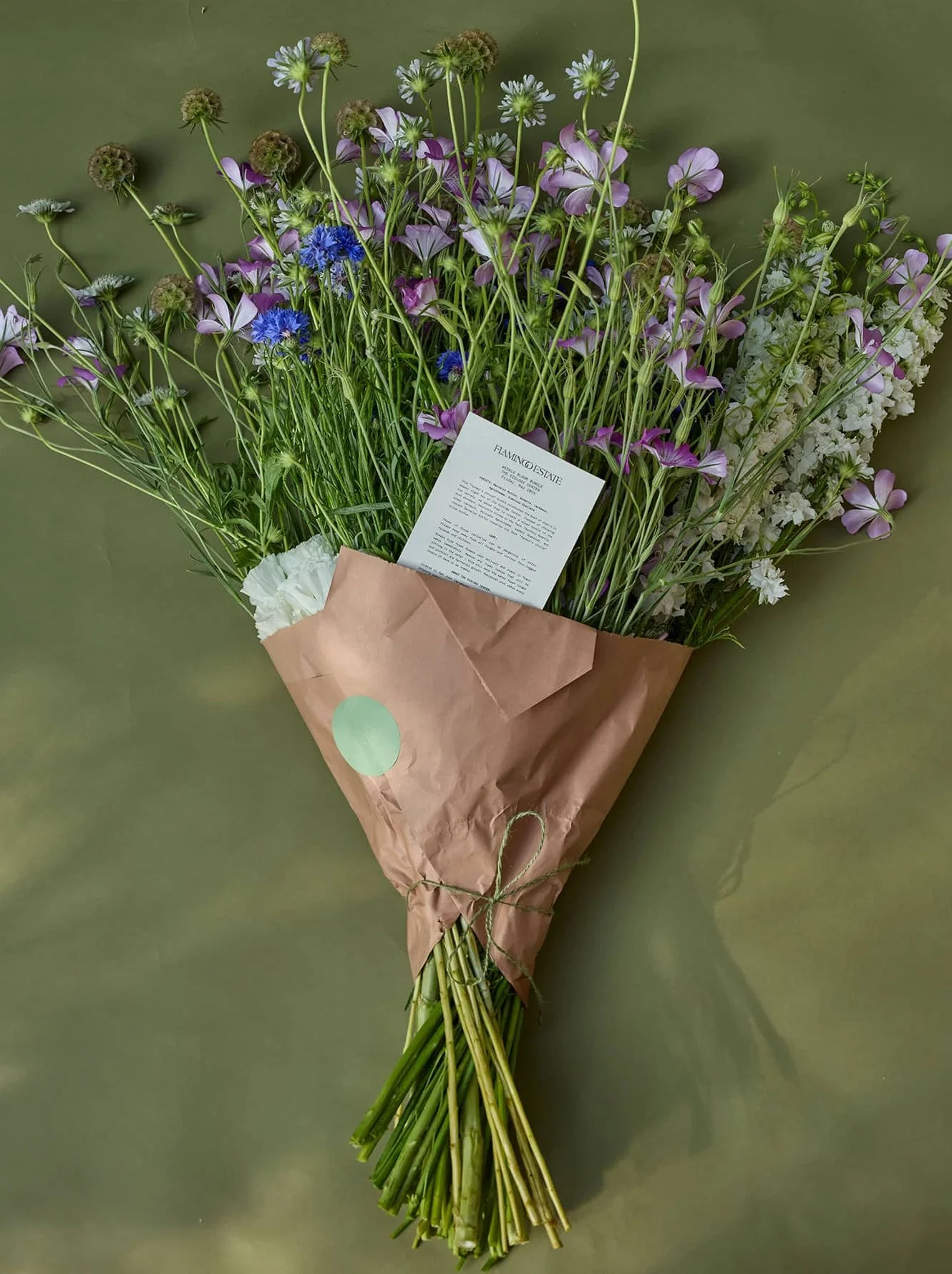 Weekly Bloom Bundle - Image 8